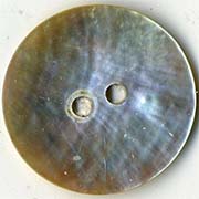 Botones Concha de Perla