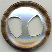 Botones de Poliester